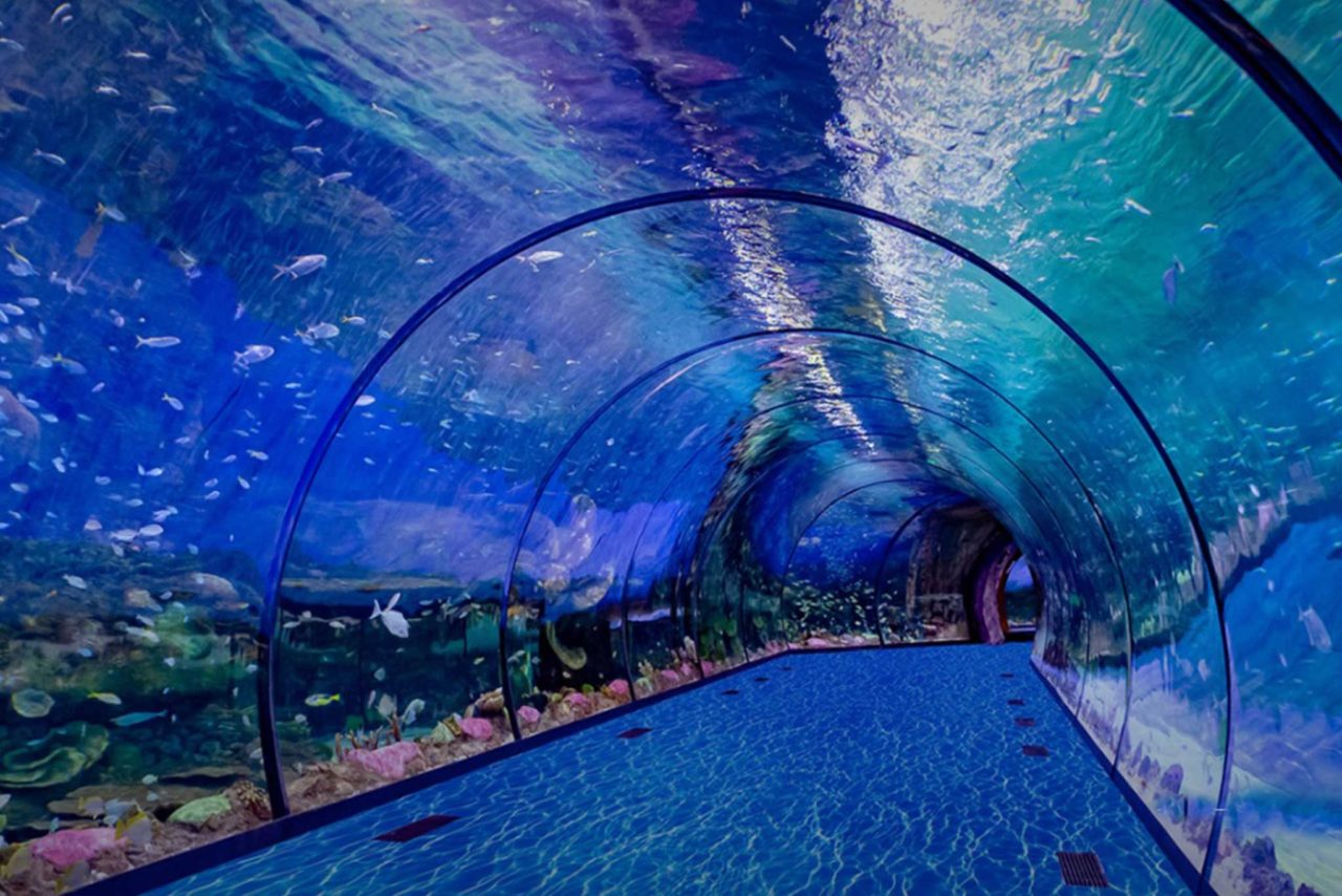National Aquarium